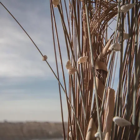 Appartementanlage Am Appartementanlage Am Leuchtfeuer - 16 Appartement Brösum